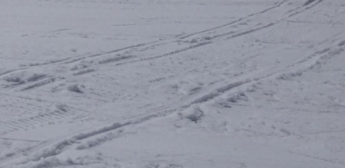 Maltempo, scuole chiuse per neve a Nardodipace, Fabrizia e Mongiana