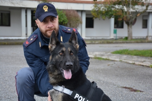 Vibo, al poliziotto Roberto Bucca la medaglia d’oro nei campionati italiani di Kendo