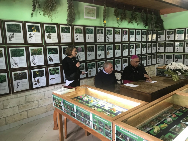 Inaugurato a Serra il Museo botanico, un tesoro immerso nella natura - LE FOTO