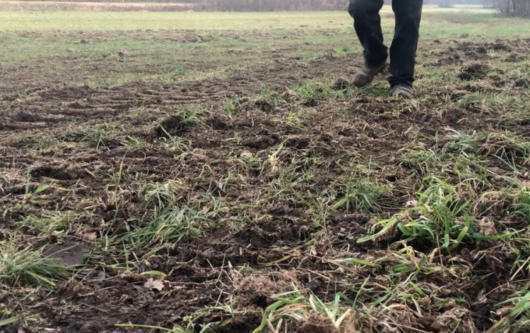 Indagine del Gal sui danni del Covid nei confronti degli agricoltori vibonesi