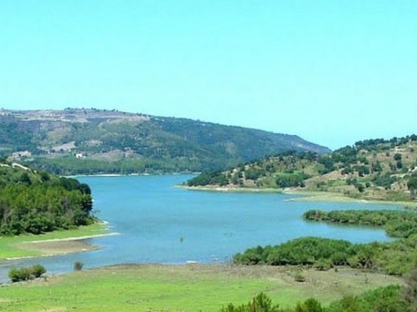 Tutela dell’Oasi del lago Angitola, il Wwf si appella al direttore del Parco delle Serre