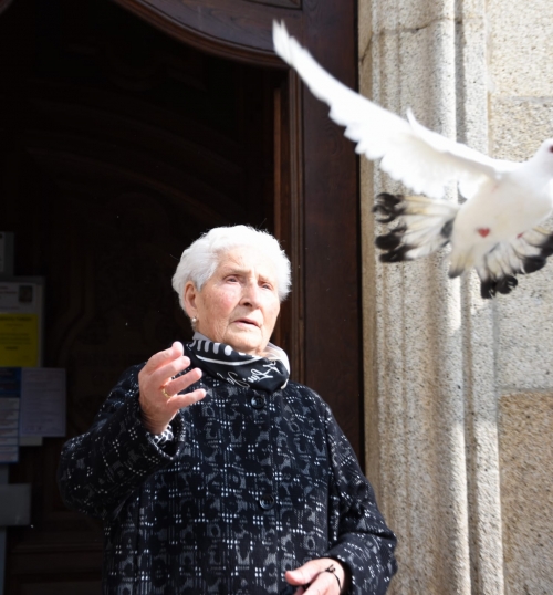 (Foto di Raffaele Timpano)