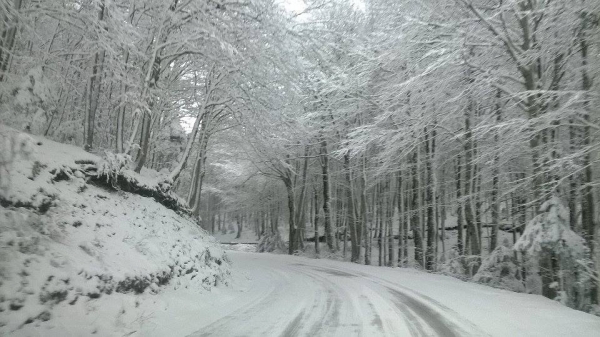 Neve, domani scuole chiuse in diversi comuni delle Serre: ecco quali