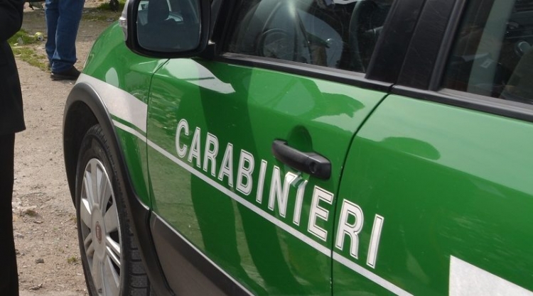 Cade nei boschi delle Serre e si frattura la caviglia, salvato dai carabinieri forestali