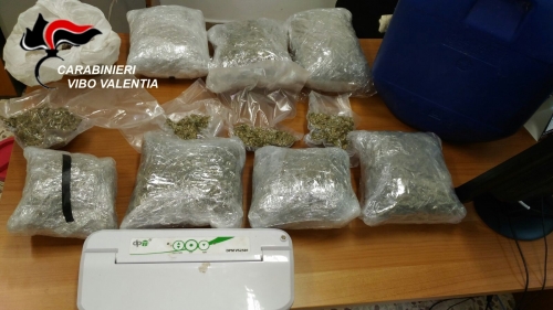 Nascondeva 4,5 kg di marijuana nella stalla dei cavalli, arrestato 23enne a Briatico