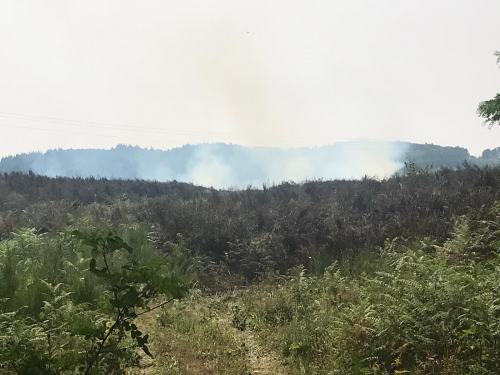 Serra, vasto incendio nei pressi della Certosa - VIDEO