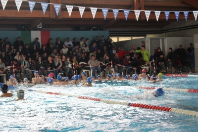 Successo a Serra per il 1° trofeo di nuoto - FOTO E CLASSIFICHE