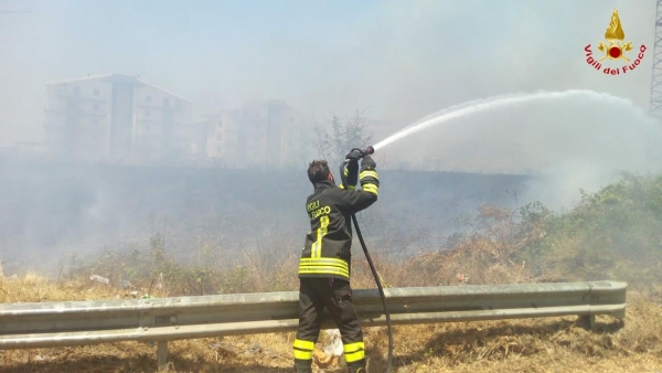 Emergenza incendi nel Vibonese, a Joppolo distrutti oltre 50 ettari di bosco - LE FOTO