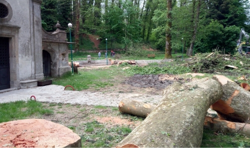 Alberi abbattuti a San Rocco, la Curia all&#039;oscuro di tutto