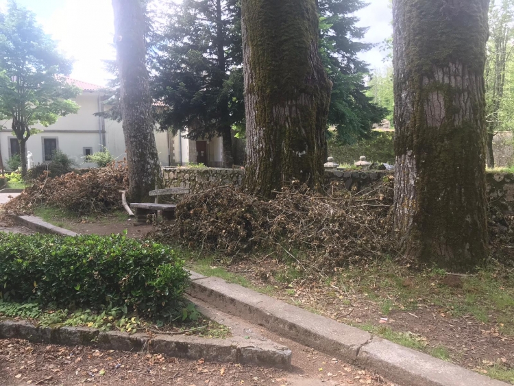 Serra, alberi tagliati e rami lasciati sul bordo della strada tra la Certosa e Santa Maria - LE FOTO