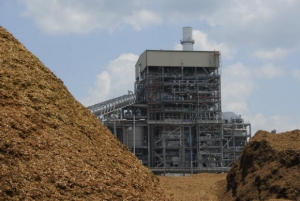 Mongiana, stop del Tar alla centrale a biomassa. Via libera a quella di San Nicola