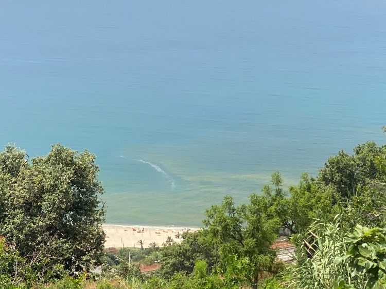 Segnalata una fioritura algale nel mare di Nicotera