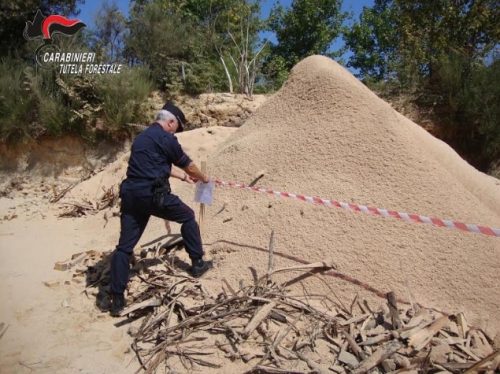 Controlli dei carabinieri forestali nel Vibonese, denunce e sanzioni anche a Serra e Nardodipace