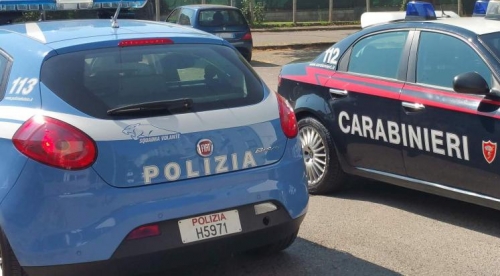 Controlli nel Vibonese, sequestrati 30 kg di alimenti