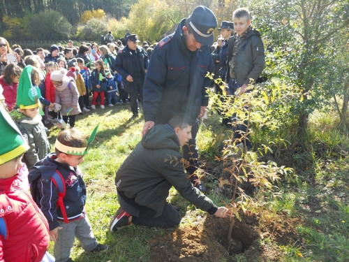 Successo a Mongiana per la “Festa dell’albero” dei carabinieri forestali