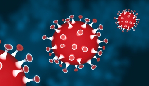 Coronavirus, 61 nuovi positivi in Calabria su 2612 tamponi effettuati. Il bollettino