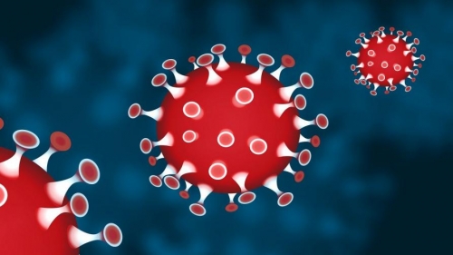 Coronavirus, l’Asp di Vibo: «Nessun nuovo caso positivo, quelli accertati in tutta la provincia sono 8»