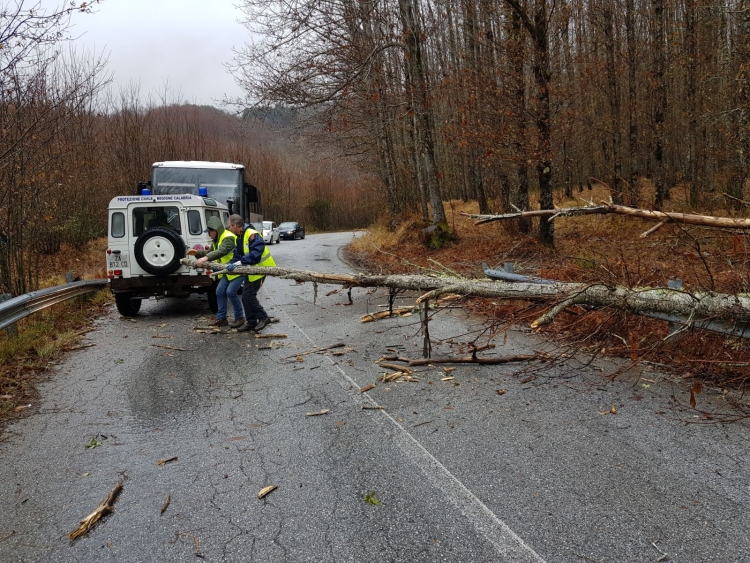 Maltempo, alberi crollati sulla Mongiana-Fabrizia. A Monte Pecoraro vetture ferme a causa della neve