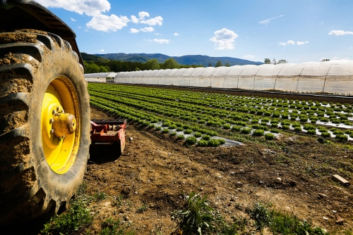 Ammodernamento aziende agricole, pubblicato il nuovo bando del Gal “Terre vibonesi”