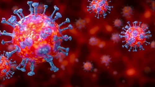 Coronavirus, 17 nuovi casi in Calabria. Il bollettino della Regione