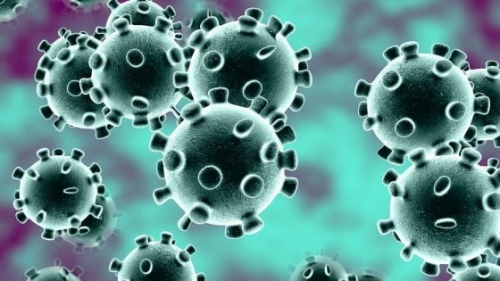 Coronavirus, 1060 tamponi in più e 1 nuovo positivo in Calabria. Aumentano i guariti nel Vibonese. Il bollettino