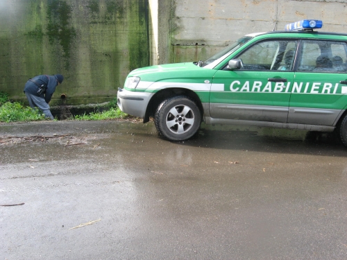 Smaltimento illecito di rifiuti zootecnici, denunciato il proprietario di un’azienda di Spilinga