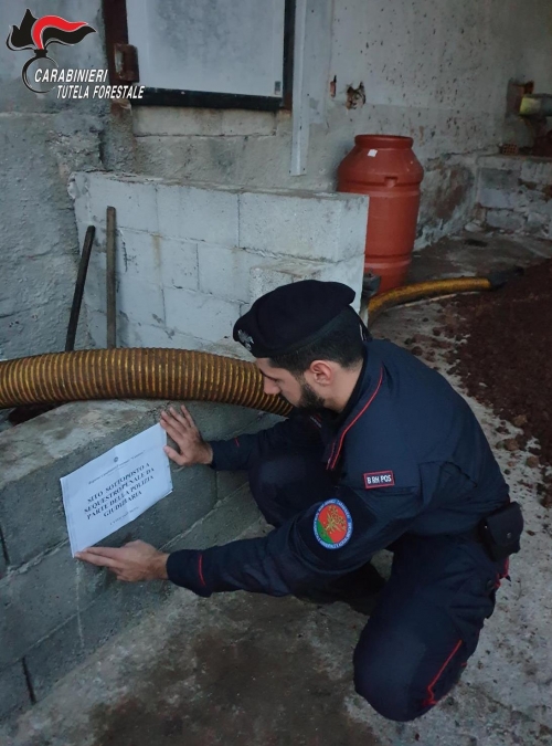 Residui oleari nel fiume, sequestrato un frantoio nel Vibonese