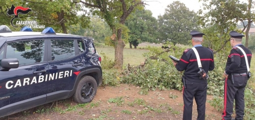 Rubano legna in un terreno privato, arrestati due 18enni a Chiaravalle