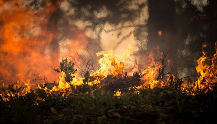 Fiamme anche a Nardodipace, incendio domato dopo 2 giorni