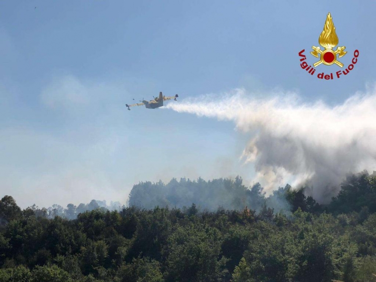 Vasto incendio tra Sant’Onofrio e Vazzano, interviene anche il canadair dei vigili del fuoco