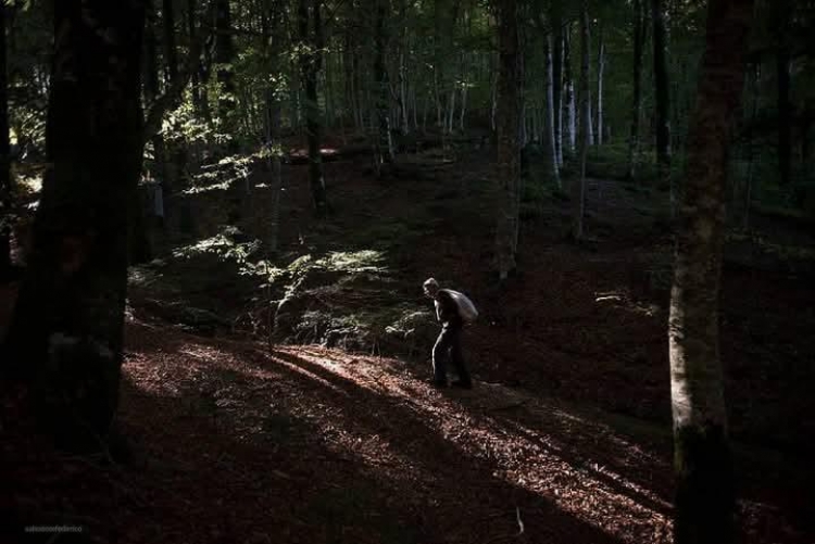 Foto di Salvatore Federico (riproduzione riservata)