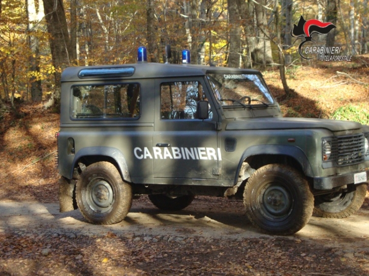 Introduzione abusiva di armi nel territorio del Parco, denunciate tre persone