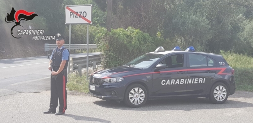 Vibo, controlli e denunce dei carabinieri durante il ponte di Ognissanti