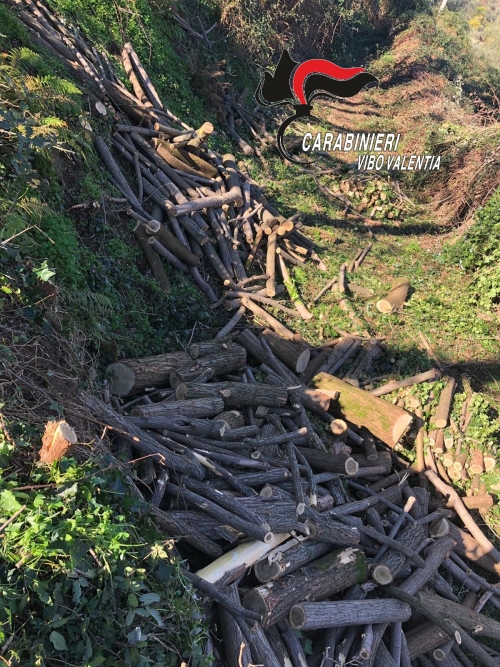 Sorpreso a tagliare alberi in un terreno comunale, ai domiciliari un 52enne di Arena