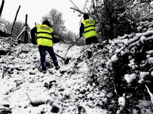 Neve nelle Serre, la Protezione Civile di Mongiana coordina gli interventi