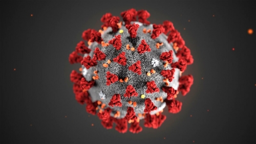 Coronavirus, 0 positivi nelle ultime 24 ore in Calabria su 239 tamponi effettuati. Il bollettino