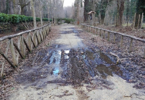 Serra, il sentiero Frassati ridotto a un pantano - LE FOTO