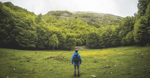 A Serra l’evento lancio nazionale del progetto “Formazione forestale per l’Italia”