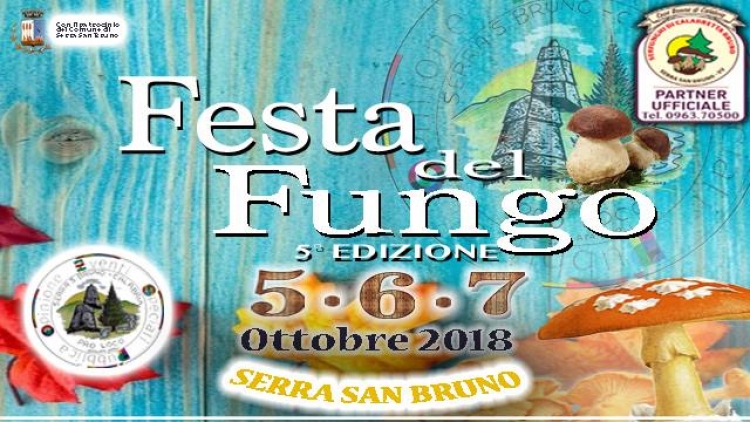 Tutto pronto a Serra per la “Festa del Fungo”, il programma completo