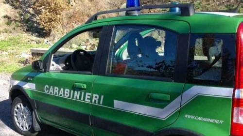 Scarichi non autorizzati, sequestrato autolavaggio a Nicotera