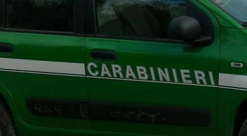 Furgone incendiato ritrovato nelle campagne di Sorianello