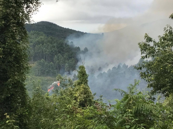 Incendio nei boschi tra Serra e Savini