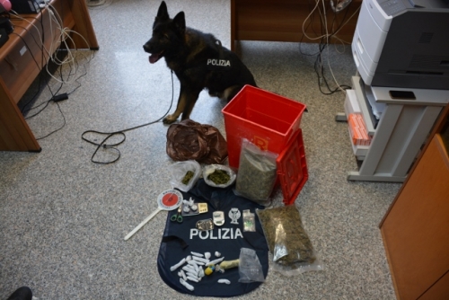 Trovato in possesso di cocaina, hashish e marijuana: arrestato pregiudicato vibonese