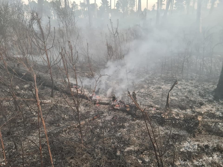 Domenica di incendi nel Vibonese, vasti roghi a Monterosso e Dinami