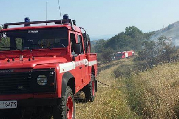 San Nicola, ancora incendi: ettari di uliveti e boschi distrutti dalle fiamme