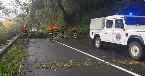 Allerta meteo, diversi gli interventi della Protezione civile di Mongiana - FOTO