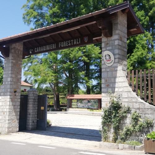 Attesa per la “Notte bianca della biodiversità” con i carabinieri di Mongiana