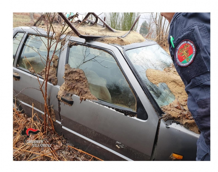 Controlli dei carabinieri forestali nel Vibonese, rinvenuti 16 veicoli abbandonati