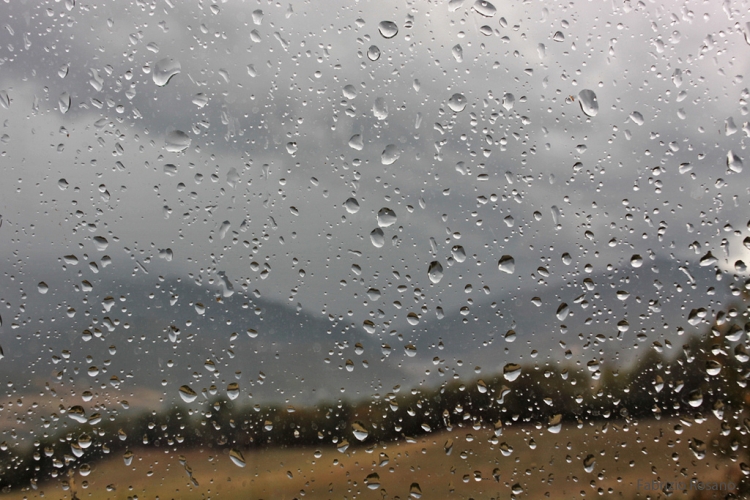 Meteo Serre, un fine settimana di piogge