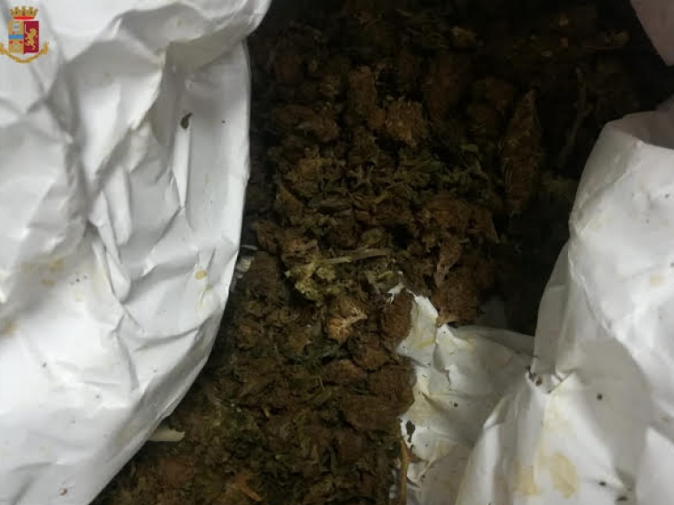 Marijuana nascosta nella ruota di scorta, ai domiciliari un 32enne nel Vibonese